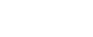 Jerry Builds Bricks